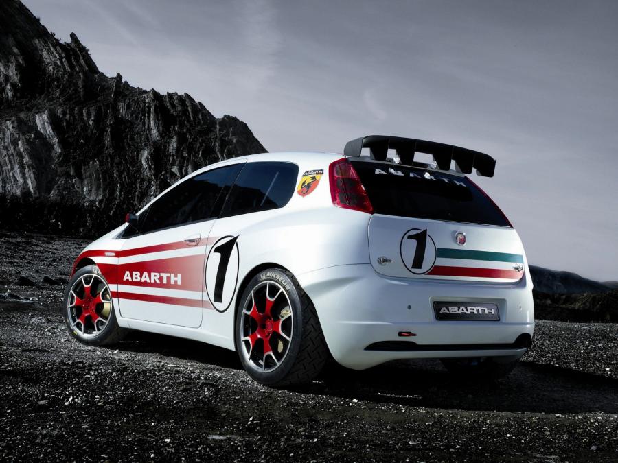  Abarth Grande Punto S2000 (199) 2007 года  (фото 13 из 25)